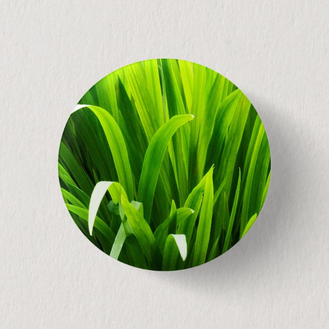 Badge Rond 2,50 Cm Feuilles rétroéclairés dans le jardin (Devant)