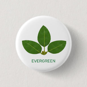 Badge Rond 2,50 Cm Feuilles Vertes Modernes sur Fond Blanc