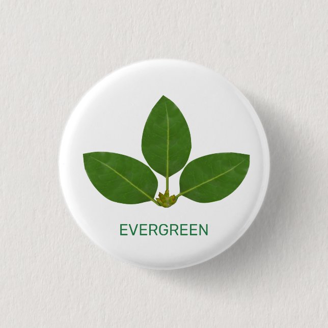 Badge Rond 2,50 Cm Feuilles Vertes Modernes sur Fond Blanc (Devant)