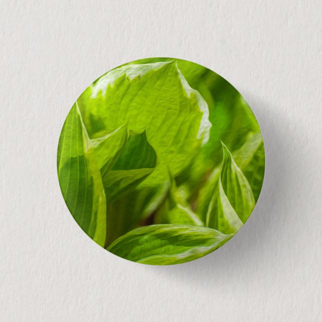 Badge Rond 2,50 Cm Feuilles verts Hosta (Devant)