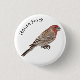 Badge Rond 2,50 Cm Finch Maison