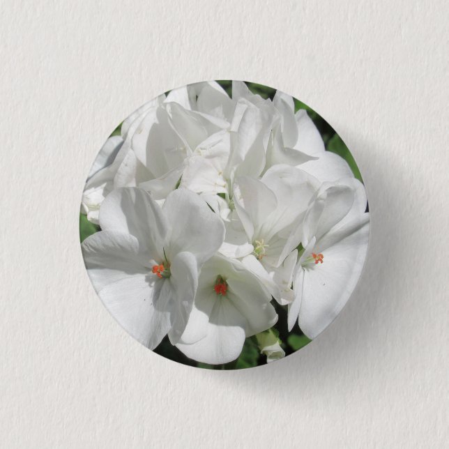 Badge Rond 2,50 Cm Fleur de géranium blanc délicate (Devant)