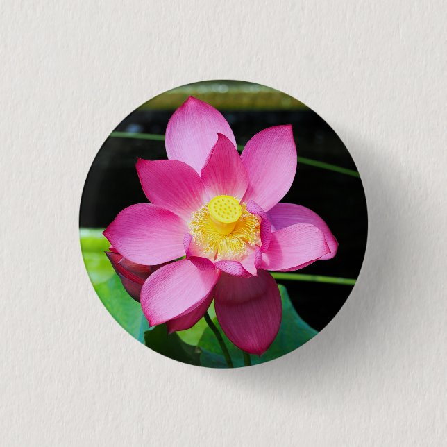 Badge Rond 2,50 Cm Fleur de Lotus rose chaud (Devant)