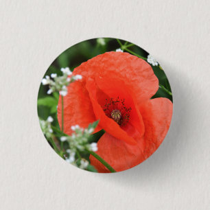 Badge Rond 2,50 Cm Fleur de pavot colorée de l'été en vert végéta