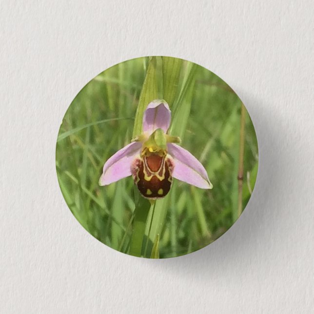 Badge Rond 2,50 Cm Fleur d'orchidée (Devant)