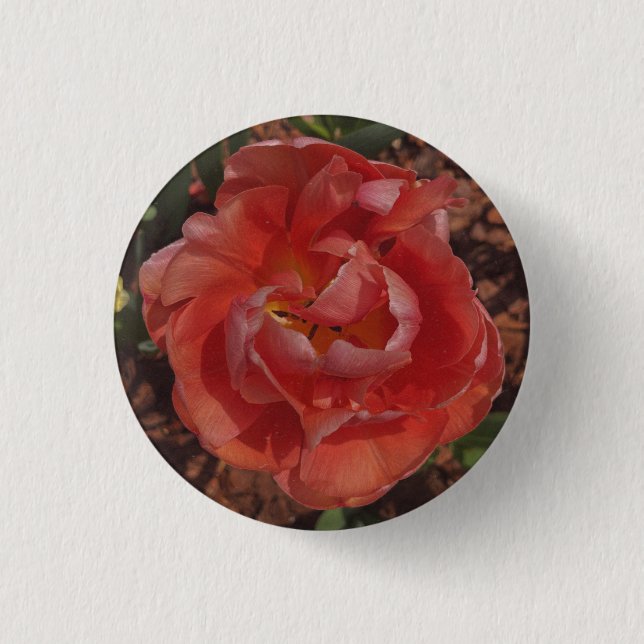 Badge Rond 2,50 Cm fleur rouge  (Devant)