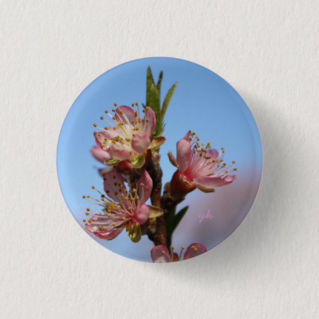 Badge Rond 2,50 Cm Fleurs de pêche (Devant)