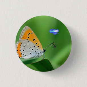 Badge Rond 2,50 Cm Fond vert et papillon jaune et blanc et araignée