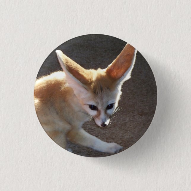 Badge Rond 2,50 Cm Fox de Fennec (Devant)
