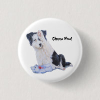 Gimme mignon cinq de border collie de chiot !