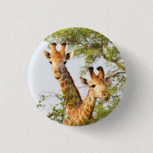 Badge Rond 2,50 Cm Giraffes Pékin au-dessus de la végétation