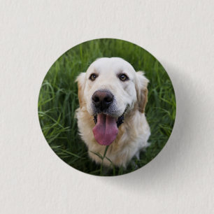 Badge Rond 2,50 Cm Golden Retriever souriant