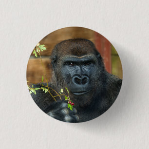 Badge Rond 2,50 Cm Gorilla Et Ses Berries