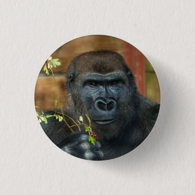 Badge Rond 2,50 Cm Gorilla Et Ses Berries (Devant)