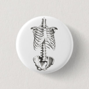 Badge Rond 2,50 Cm Goupille éffrayante de bouton d'anatomie