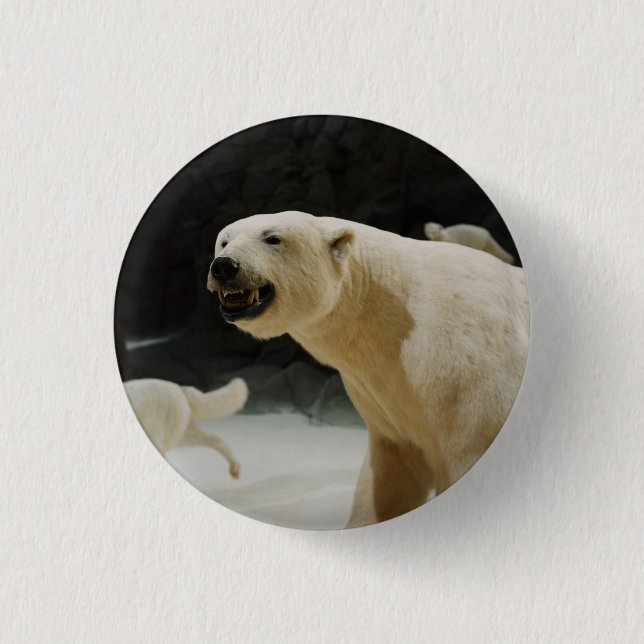 Badge Rond 2,50 Cm Graine d'ours polaire (Devant)