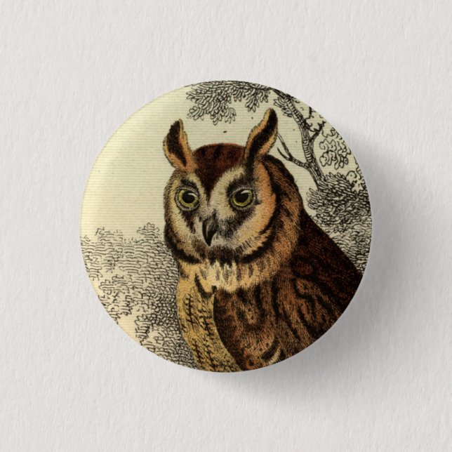 Badge Rond 2,50 Cm Grand bouton de hibou à cornes (Devant)