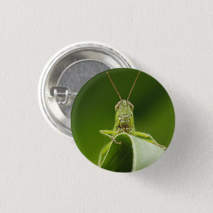 Badge Rond 2,50 Cm Grasshopper sur la feuille, Grasshopper Face Gros 