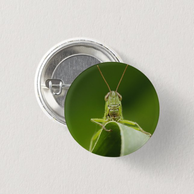 Badge Rond 2,50 Cm Grasshopper sur la feuille, Grasshopper Face Gros  (Devant & derrière)