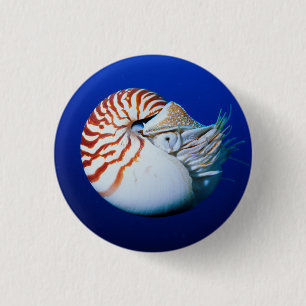 Badge Rond 2,50 Cm Gros plan de nautile à chambre