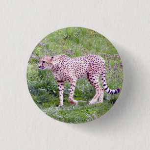 Badge Rond 2,50 Cm Guépard