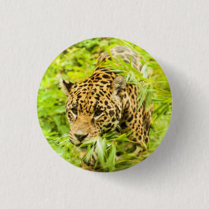 Badge Rond 2,50 Cm Guépard - bouton