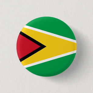Badge Rond 2,50 Cm Guyana Guyane Drapeau Indépendance Caraïbes