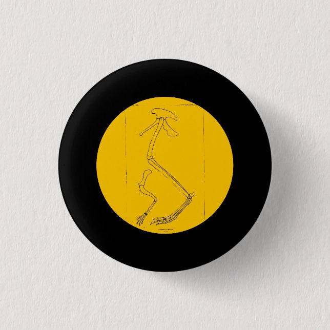 Badge Rond 2,50 Cm Hallopus Victor (Devant)
