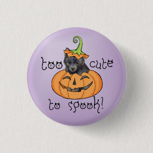 Badge Rond 2,50 Cm Halloween Schipperke Button