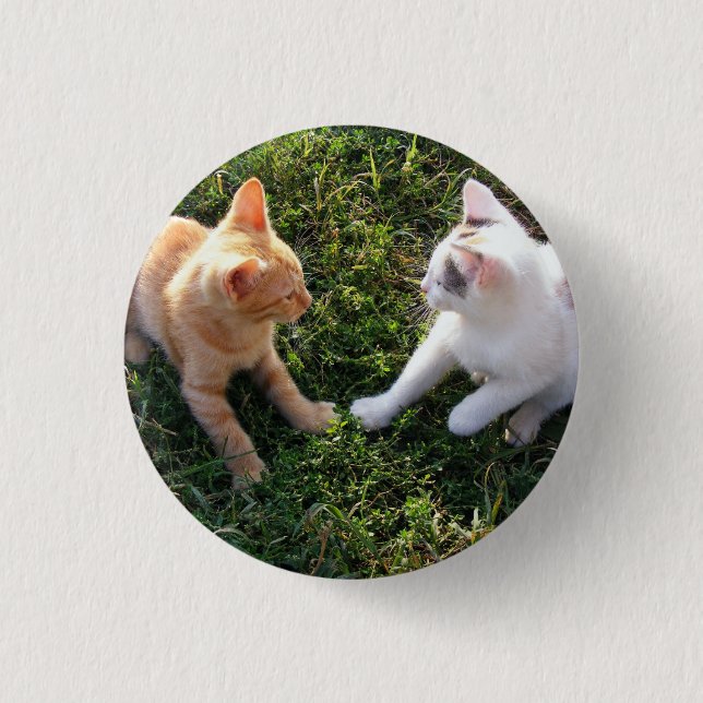 Badge Rond 2,50 Cm HAMbWG - Bouton Carré - 2 chats (Devant)