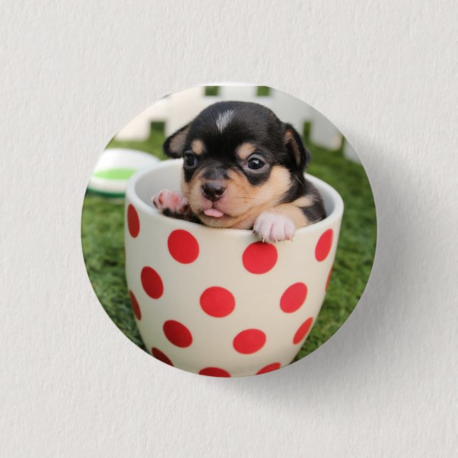 Badge Rond 2,50 Cm HAMbWG - Square Button - Teacup Puppy (Devant)