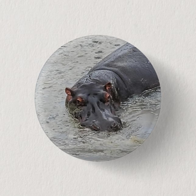 Badge Rond 2,50 Cm Hippoposterus (Devant)
