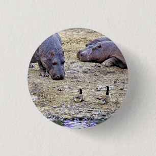 BADGE ROND 2,50 CM HIPPOS