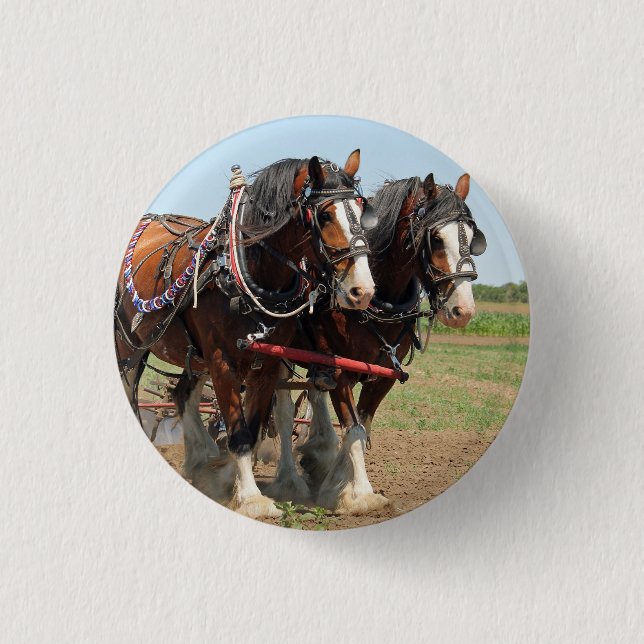 Badge Rond 2,50 Cm Horse Clydesdale Agriculture Photo (Devant)