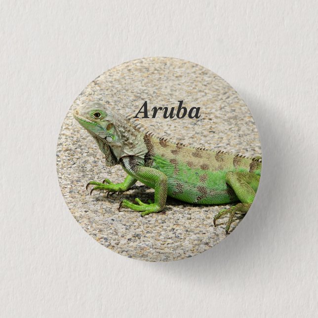 Badge Rond 2,50 Cm Iguane vert d'Aruba (Devant)