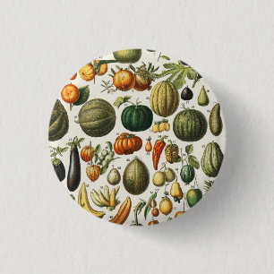 Badge Rond 2,50 Cm Illustration scientifique végétale des fruits