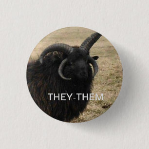 Badge Rond 2,50 Cm "-ils" avec la chèvre sérieuse
