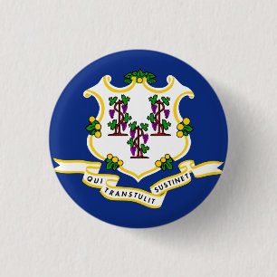 Badge Rond 2,50 Cm Indicateur d'état Connecticut