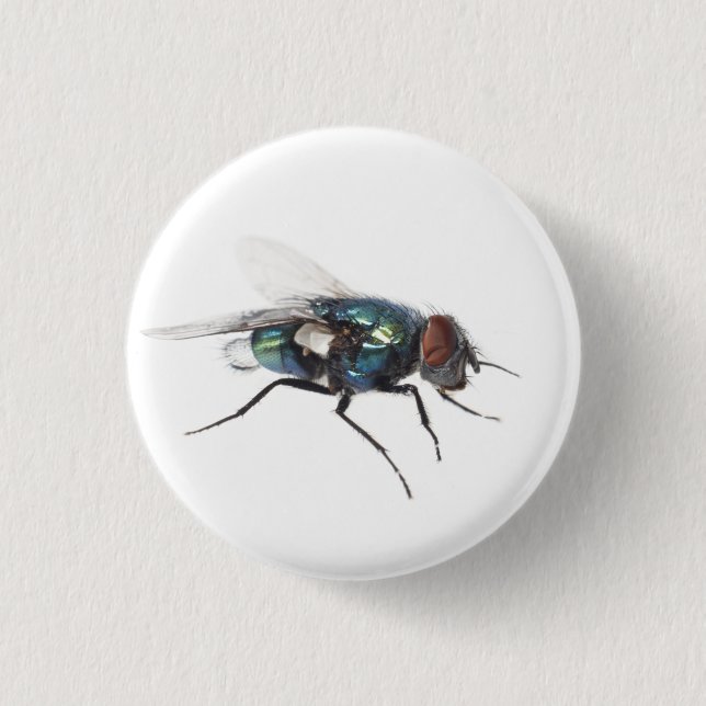 Badge Rond 2,50 Cm insecte mouche (Devant)