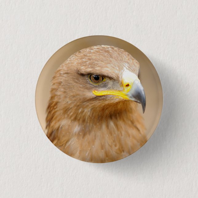 Badge Rond 2,50 Cm Insigne avec Eagle d'or (Devant)
