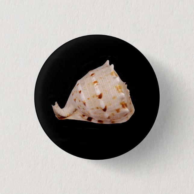 Badge Rond 2,50 Cm Insigne de coquille de cône (Devant)