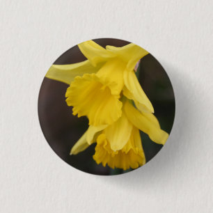 Badge Rond 2,50 Cm Insigne de jonquille