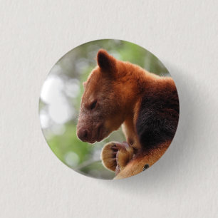 Badge Rond 2,50 Cm Insigne de kangourou d'arbre