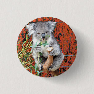 Badge Rond 2,50 Cm Insigne de temps de collation Koala