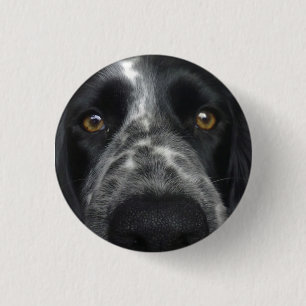 Badge Rond 2,50 Cm Insigne haut étroit d'épagneul
