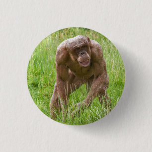 Badge Rond 2,50 Cm Jambo Le Chimp Unique Sans Cheveux