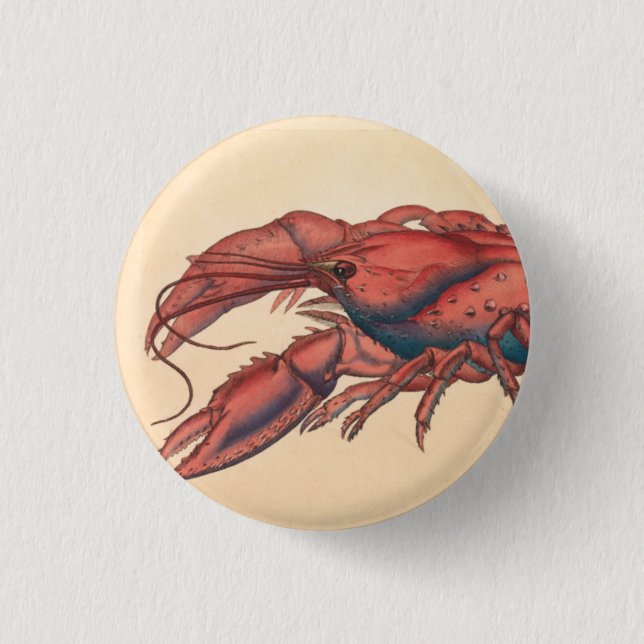 Badge Rond 2,50 Cm James Sowerby Homard serbé (Devant)