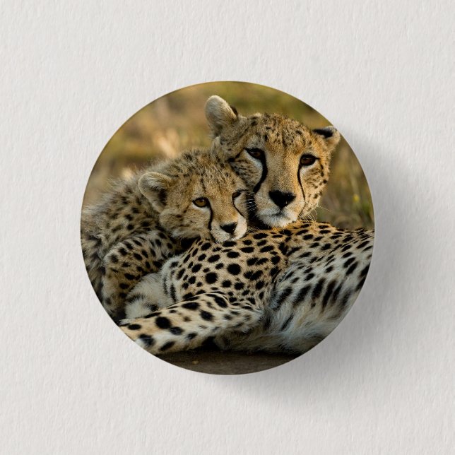 Badge Rond 2,50 Cm Jeune guépard câlinant sa mère (Devant)