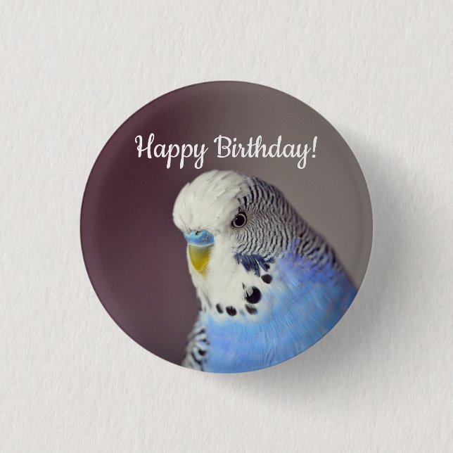 Badge Rond 2,50 Cm Joli Blue Budgie photo Anniversaire (Devant)