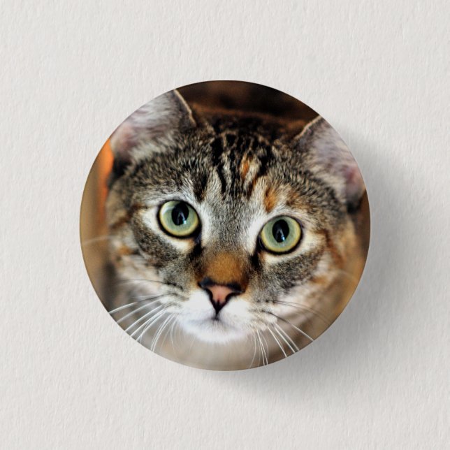 Badge Rond 2,50 Cm Joli bouton de chat de Kitty (Devant)